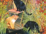 Chrissie Snelling - Cats and Koi