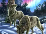 Wolves and Lights