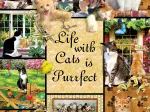 Cats Make Life Purr-fect
