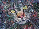 Psychedelic Kitty Cat