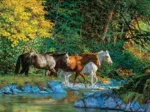 Chris Cummings - Bear Creek Crossing
