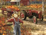 Dona Gelsinger - The Pumpkin Patch Farm