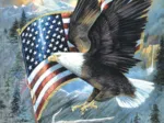 XXL Pieces - American Eagle