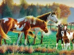 Pasture Family