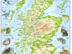 Frame Puzzle - Scotland Topographic Map (English)