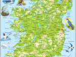 Frame Puzzle - Ireland Topographic Map (English)
