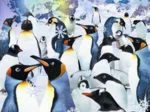 3D Effect - Penguins