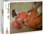 George Catlin: Chesh-Oo-Hoonga