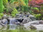 Deutschland Edition - Waterfall At Japanese Garden, Bonn