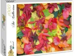 Herbst-Impressionen