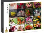 Collage - Flowers