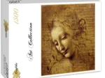 Leonardo da Vinci : The Face of Giovane Fanciulla, 1508