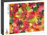 Autumn Leaves