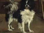 Edouard Manet: Tama: The Japanese Dog, 1875