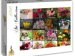 Collage - Flowers