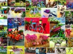 Collage - Bikes