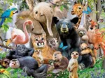 Jungle Party