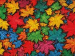 Colorful Leaves