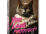 You Look Purrrfect !
