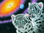 Schim Schimmel - Miracle of the Universe