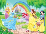 Frame Puzzle - 100 Pieces - XXL - Disney Princess : The Princesses' Garden