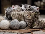 Kittens