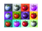 Pop Art - Tomates