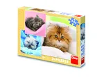 3 Puzzles - Cute Kittens
