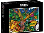 Romero Britto - Amazon