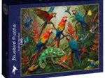 Tropical Harmony