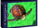 La Réunion - Tortue de Mer