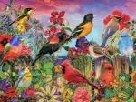 Birds and Blooms Garden