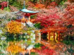 Temple Daigo-ji en Automne, Kyoto
