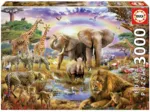 Watering Hole under the Rainbow