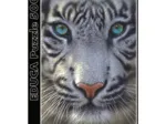 White Tiger