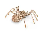 3D Wooden Jigsaw Puzzle - Spider