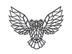 Wooden Puzzle - Owl