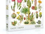 Cacti - Cactus