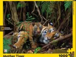 Mother Tiger and Cub