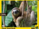 XXL Pieces - Three Toed Sloth