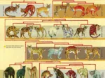 XXL Pieces - Feline Family Tree
