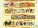 XXL Pieces - Feline Family Tree