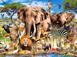 Savanna Animals