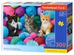 Kittens in Yarn Store