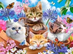 Kittens with Flowers