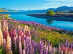 Lake Tekapo, New Zealand