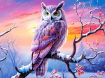 Owl's Perfect Evening