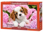 Pup in Pink Flowers