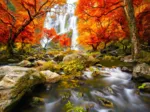 Autumn Waterfall
