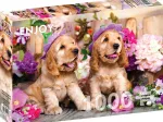 Spaniel Puppies with Flower Hats